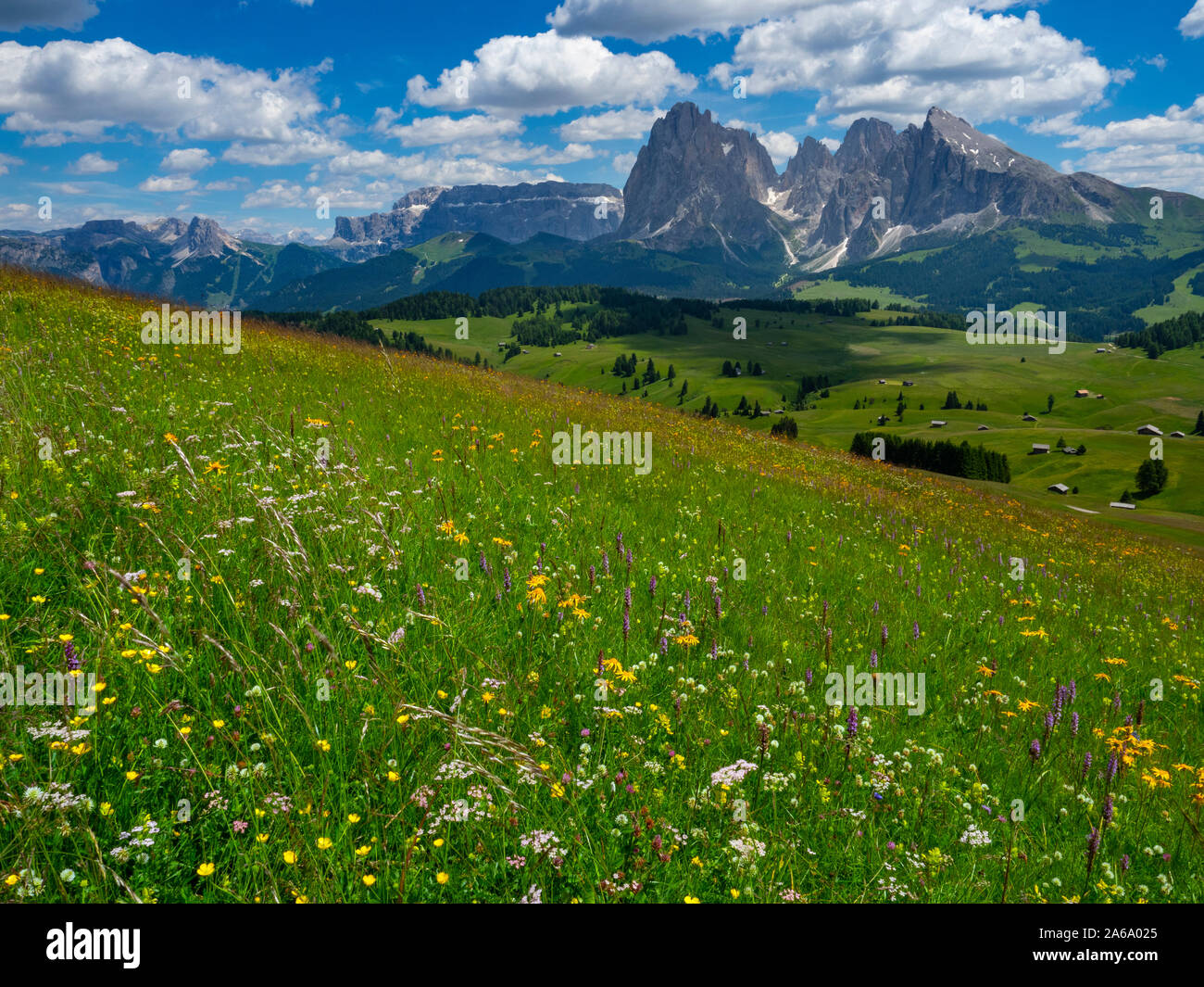 Près de village de Seiser Alm Compatsch, Dolomites, plateau, plus grande prairie alpine en Europe Banque D'Images