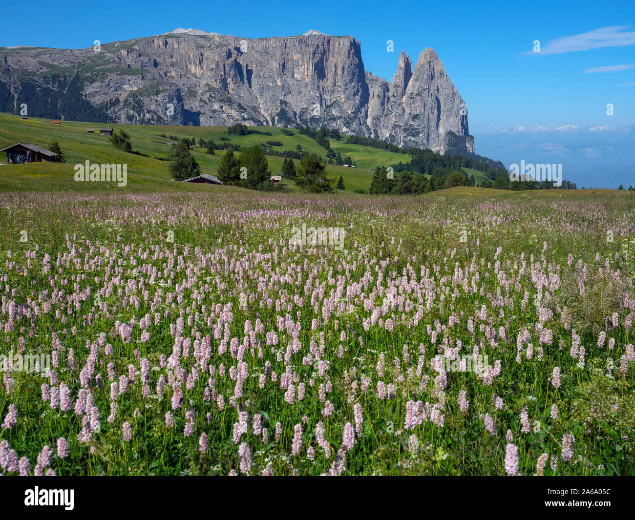 Près de village de Seiser Alm Compatsch, Dolomites, plateau, plus grande prairie alpine en Europe Banque D'Images