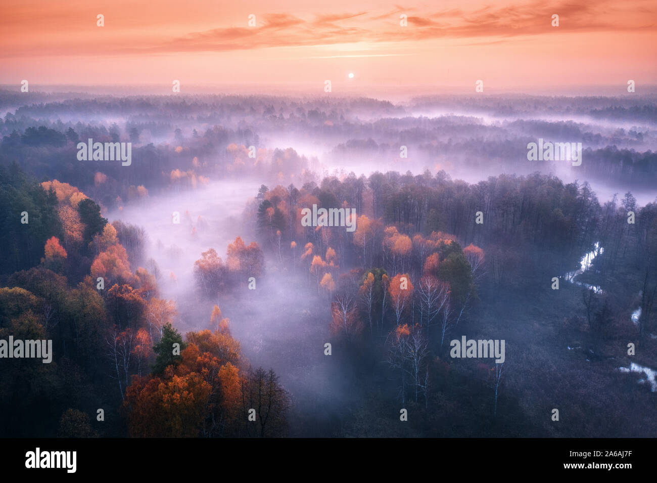 Vue aérienne de la forêt brumeuse à un lever de soleil coloré en automne Banque D'Images