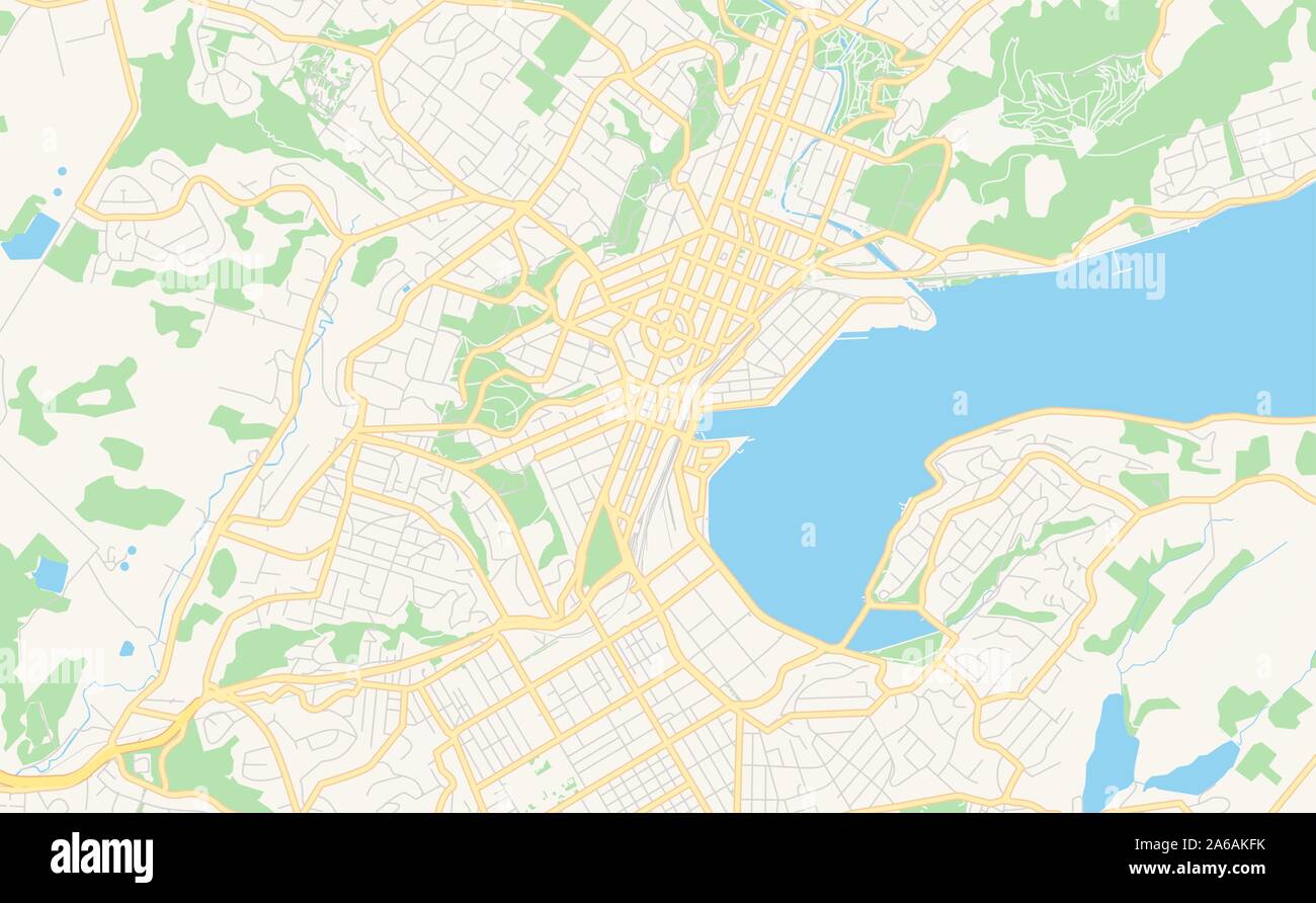 Version imprimable Plan de Dunedin, Nouvelle-Zélande. Modèle de carte pour un usage en entreprise. Illustration de Vecteur
