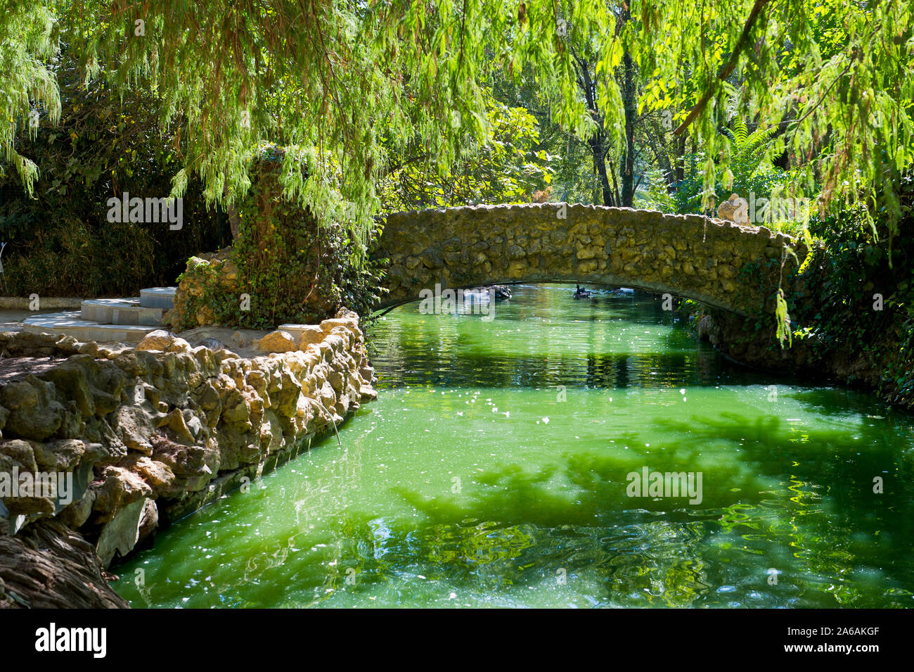 Parque de María Luisa, Séville, Andalousie, Espagne Banque D'Images