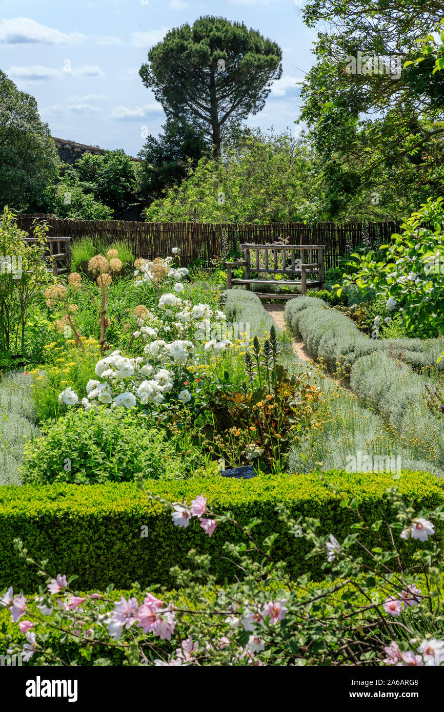 France, Maine et Loire, Angers, Château d'Angers, château d'Angers, sur les remparts, le jardin suspendu composé de parterres géométriques, planté de med Banque D'Images