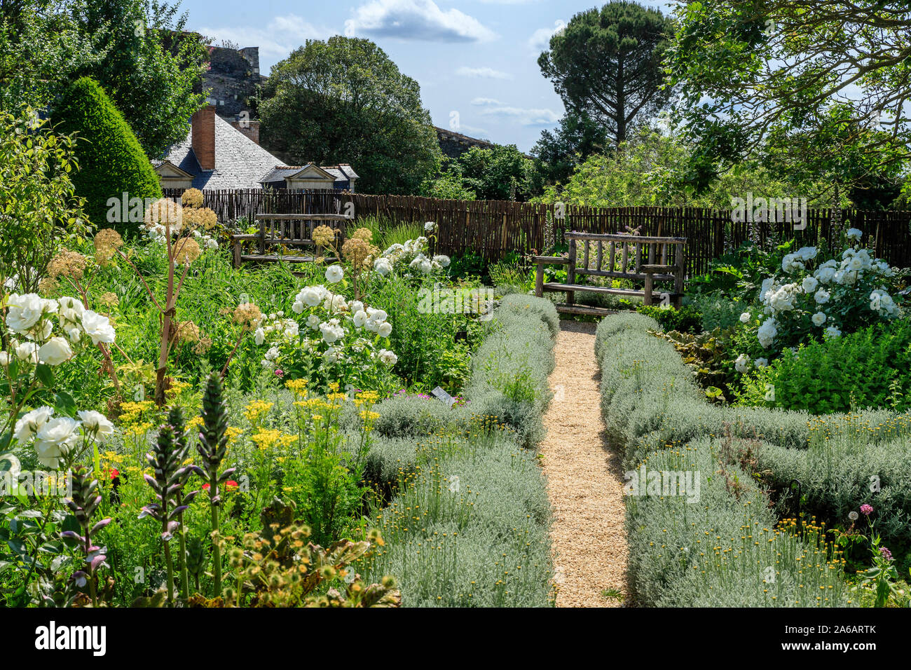 France, Maine et Loire, Angers, Château d'Angers, château d'Angers, sur les remparts, le jardin suspendu composé de parterres géométriques, planté de med Banque D'Images