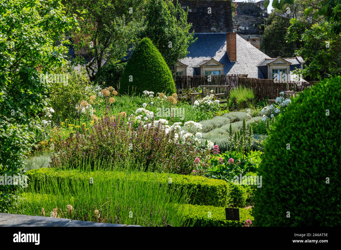 France, Maine et Loire, Angers, Château d'Angers, château d'Angers, sur les remparts, le jardin suspendu composé de parterres géométriques, planté de med Banque D'Images