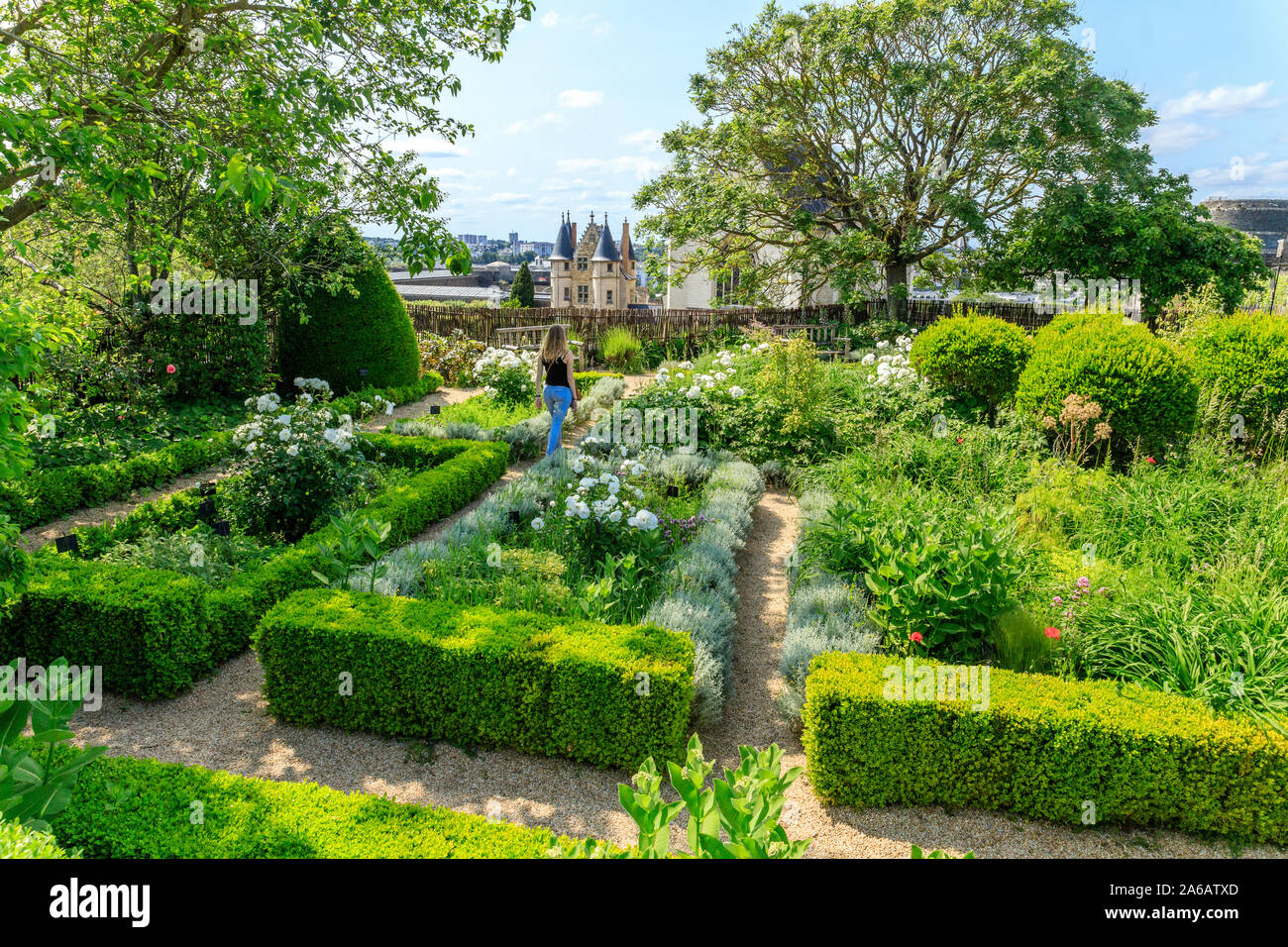 France, Maine et Loire, Angers, Château d'Angers, château d'Angers, sur les remparts, le jardin suspendu composé de parterres géométriques, planté de med Banque D'Images