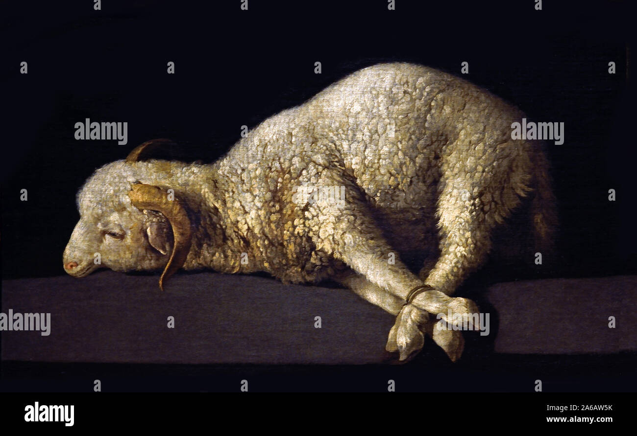 Humble et doux agneau divin de FRANCISCO DE ZURBARAN (1598-1664), vers 1635-1640, l'Espagne, l'espagnol, Banque D'Images