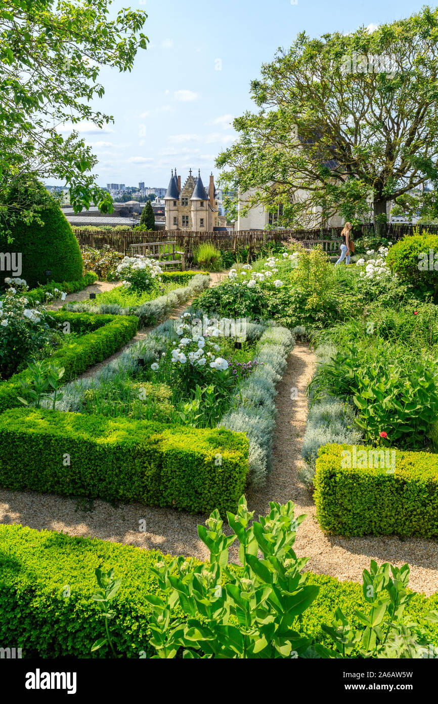 France, Maine et Loire, Angers, Chteau d'Angers, chteau d'Angers, sur les  remparts, le jardin suspendu compos de parterres gomtriques, plant de  med Photo Stock - Alamy