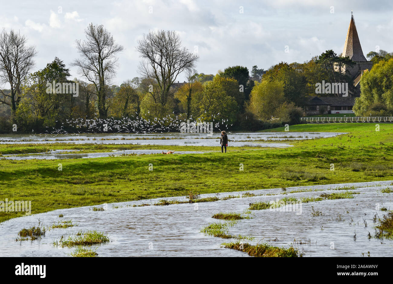 Alfriston Sussex, UK. 25 octobre, 2019. Un chien walker passe par les inondations le long de la rivière Cuckmere près de 1 156 km dans l'East Sussex après des semaines de forte pluie qui a été au-dessus de la moyenne pour la période de l'année. Météo jaune avertissements ont été émis pour les régions du pays où plus de fortes pluies et des inondations est prévue au cours des prochaines 24 heures . Les inondations le long de la Cuckmere Haven a été pire dans les cours des dernières années, depuis que l'Agence de l'environnement a décidé d'arrêter l'entretien des défenses. Crédit : Simon Dack/Alamy Live News Banque D'Images