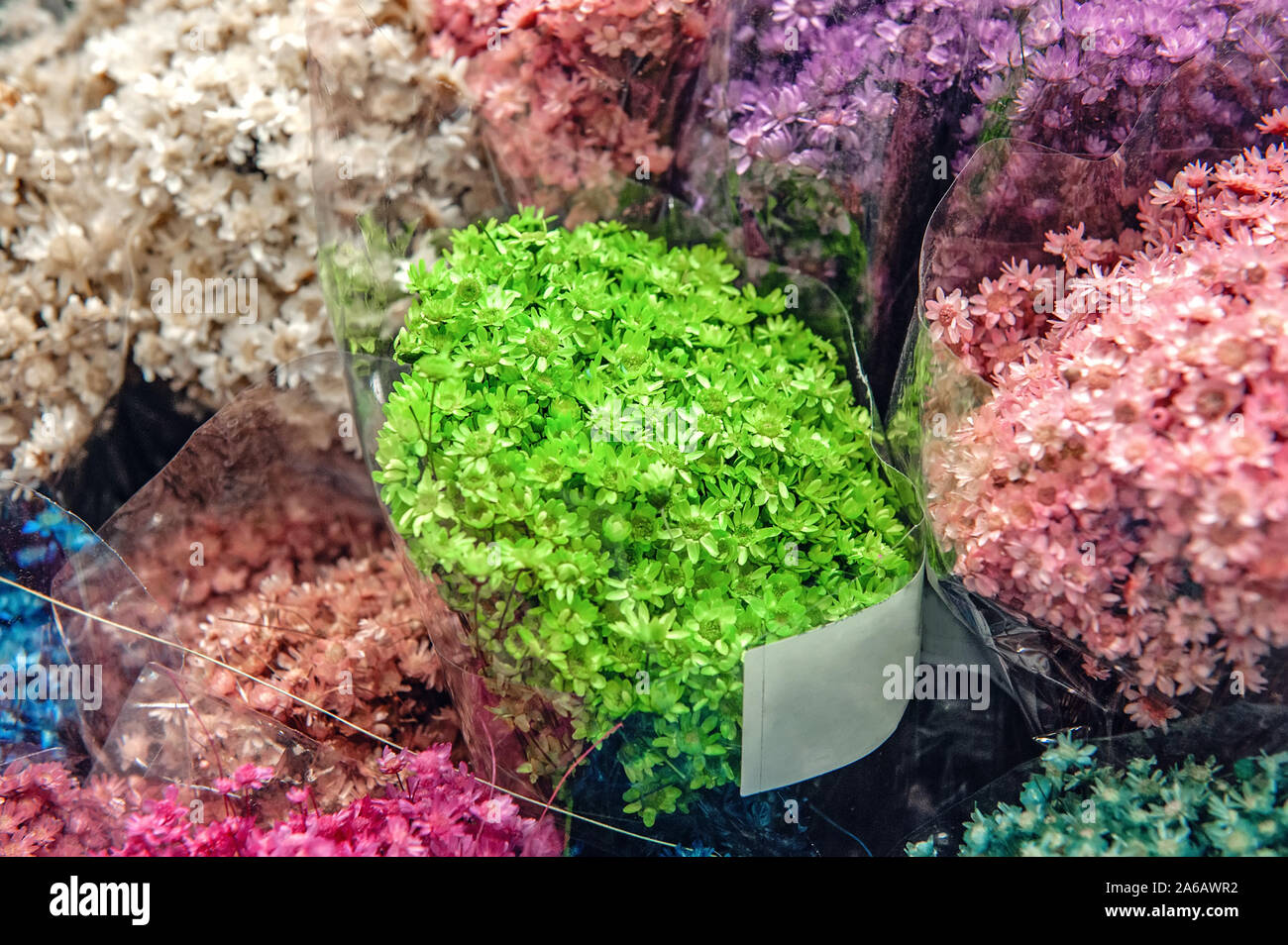 Gros plan coloré de fleurs séchées, feuilles d'herbes parfumées et gousses de graines utilisées comme confetti floraux ou potpourri pour arrangements floraux Banque D'Images