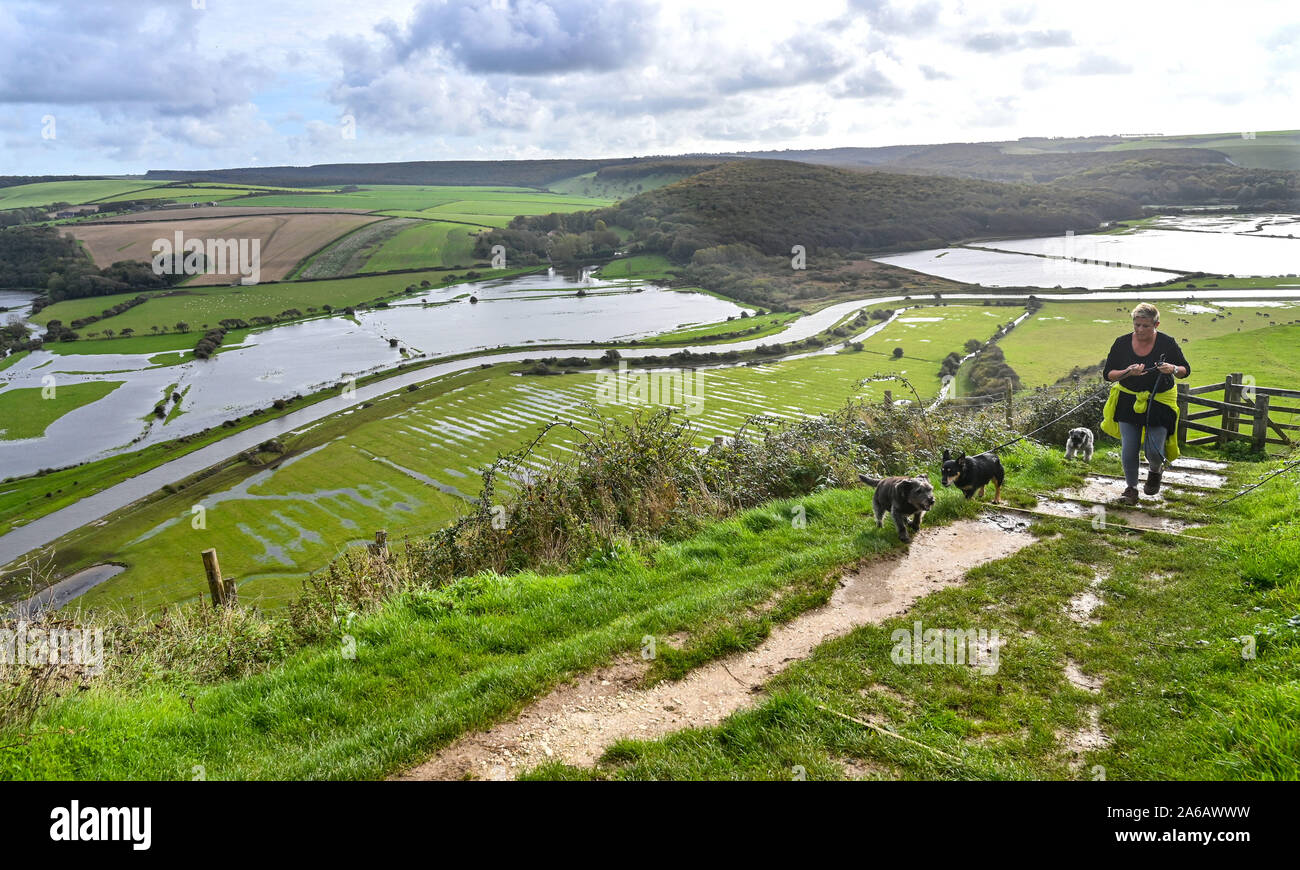 Alfriston Sussex, UK. 25 octobre, 2019. Un chien walker passe par les inondations le long de la rivière Cuckmere près de 1 156 km dans l'East Sussex après des semaines de forte pluie qui a été au-dessus de la moyenne pour la période de l'année. Météo jaune avertissements ont été émis pour les régions du pays où plus de fortes pluies et des inondations est prévue au cours des prochaines 24 heures . Les inondations le long de la Cuckmere Haven a été pire dans les cours des dernières années, depuis que l'Agence de l'environnement a décidé d'arrêter l'entretien des défenses. Crédit : Simon Dack/Alamy Live News Banque D'Images