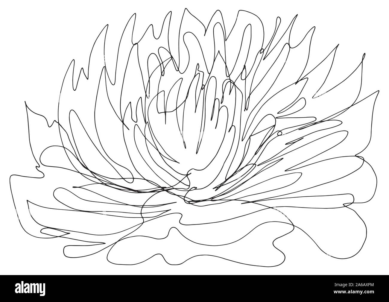 Dessin d'Art de la ligne unique fleur de lotus. La pureté mystique du Lotus, le symbole des lumières : le calme, l'harmonie et la compassion. Prêt à la couleur. Illustration de Vecteur