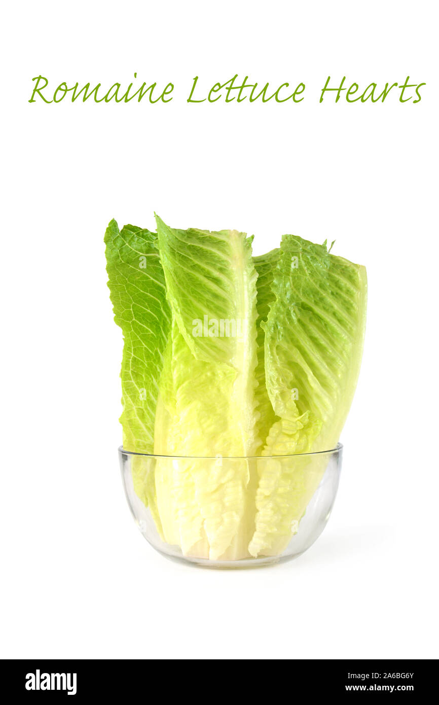 Coeurs de laitue romaine organique dans bol en verre isolé sur fond blanc. Disposition verticale avec place pour le texte. Concept de saine alimentation. Banque D'Images