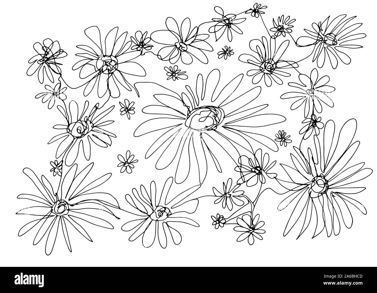 Une gamme unique de dessin d'art pré des fleurs de camomille. Prêt à l'œuvre d'art décoratif de couleur peut être utilisé comme une carte de vœux, l'arrière-plan, motif, papier peint. Illustration de Vecteur