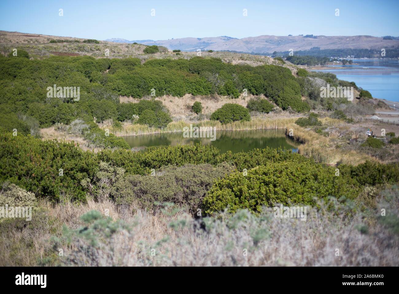 Site de projet de Bodega Bay Nuclear Power Plant site, localement appelé le "trou dans la tête" en Californie, USA. Banque D'Images