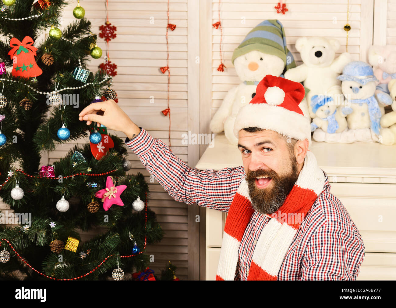 Guy en bonnet et écharpe se trouve en sapin. Festivals et concept de  décoration. Homme avec barbe orne arbre de Noël. Santa Claus with happy  face près de bureau avec des jouets