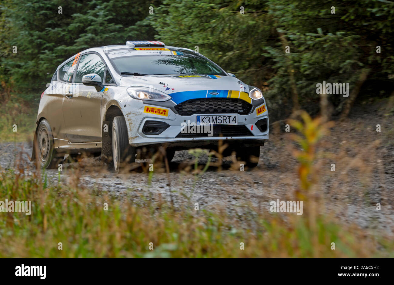 81 voiture pilote, Keanna, Erickson-Chang Co-Driver Niall Burns, Wales Rally GB, troisième jour, l'étape de la forêt Brenig Banque D'Images