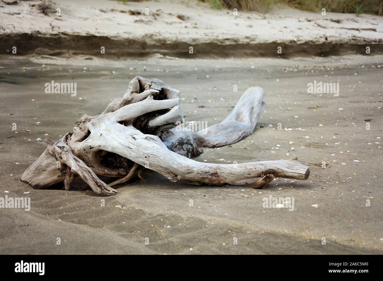 L' épave de bois sur la plage Banque D'Images