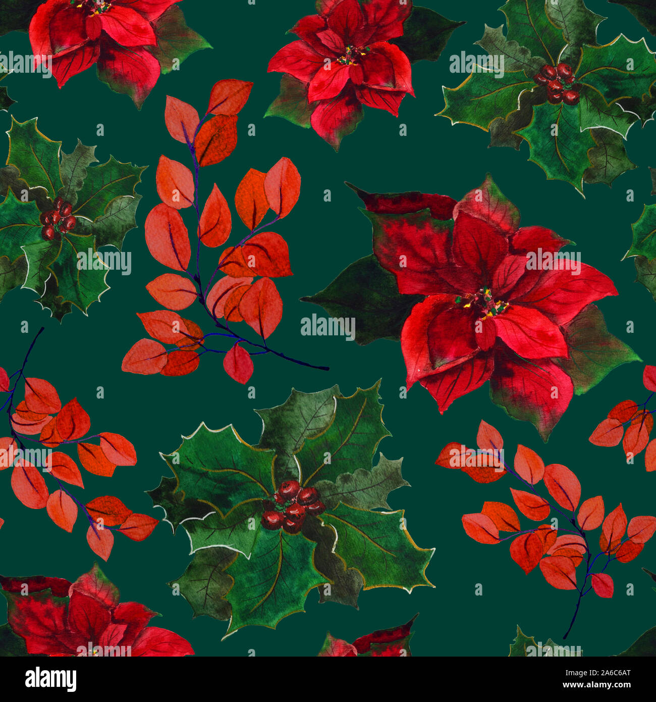 Poinsettia et houx de Noël avec motif baies sans couture, fleur aquarelle Banque D'Images