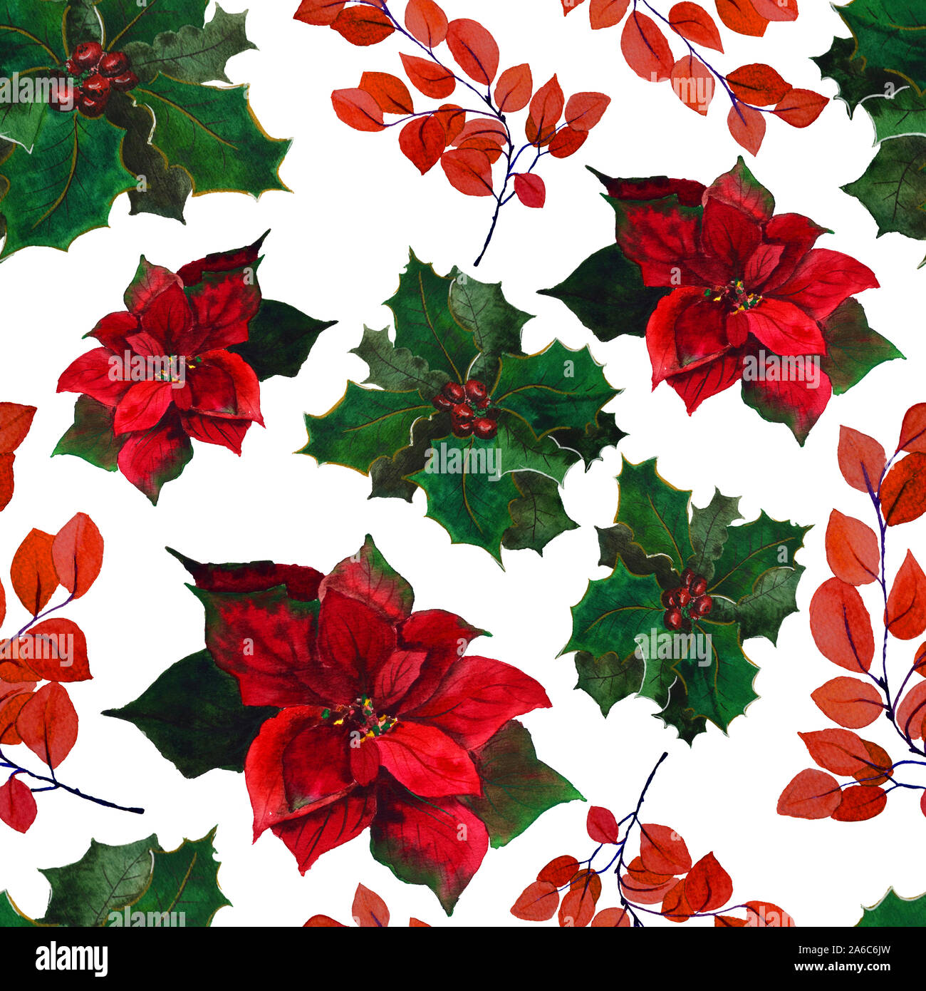 Poinsettia et houx de Noël avec motif baies sans couture, fleur aquarelle Banque D'Images