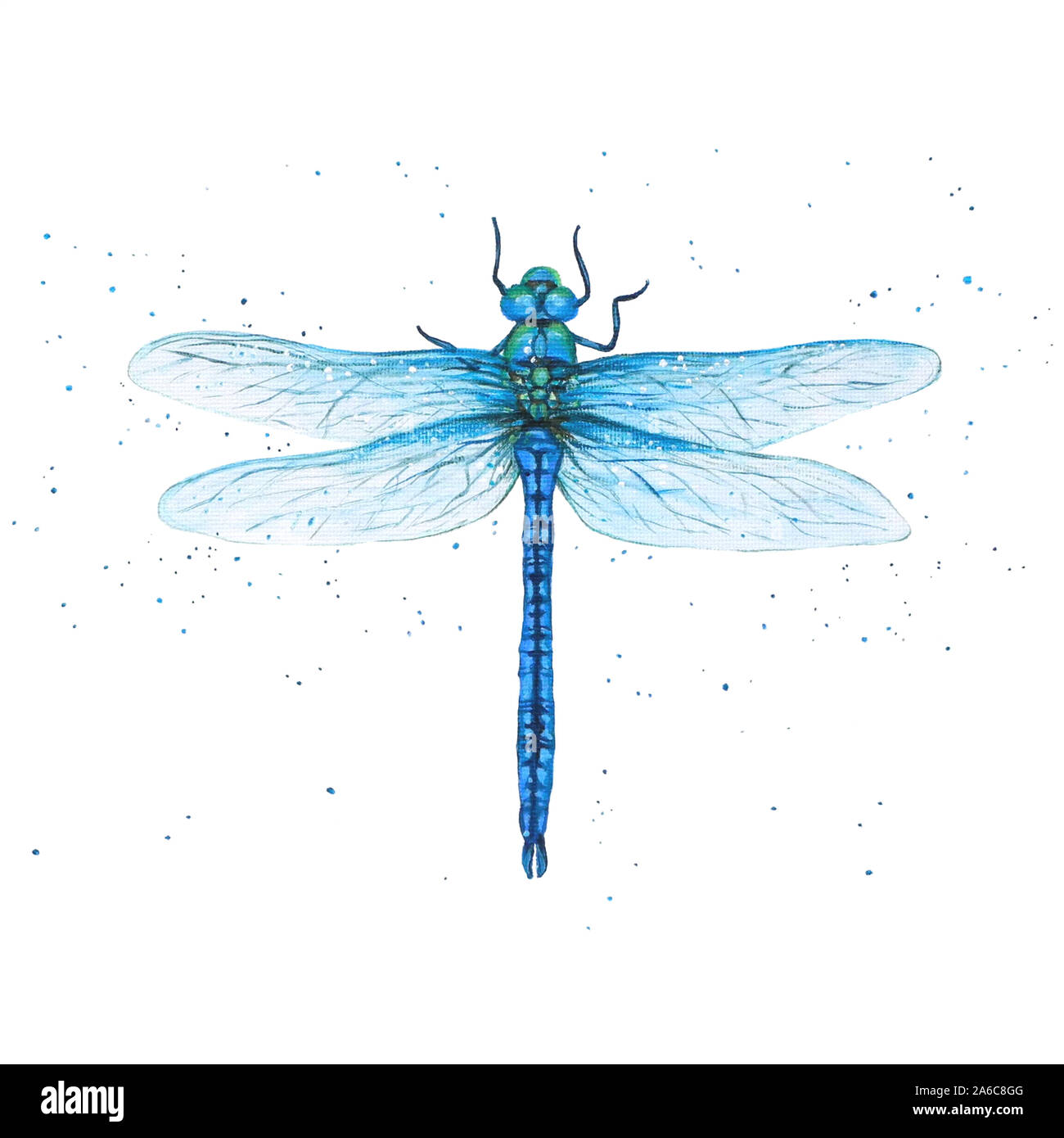 Peinture d'une libellule bleue Photo Stock - Alamy