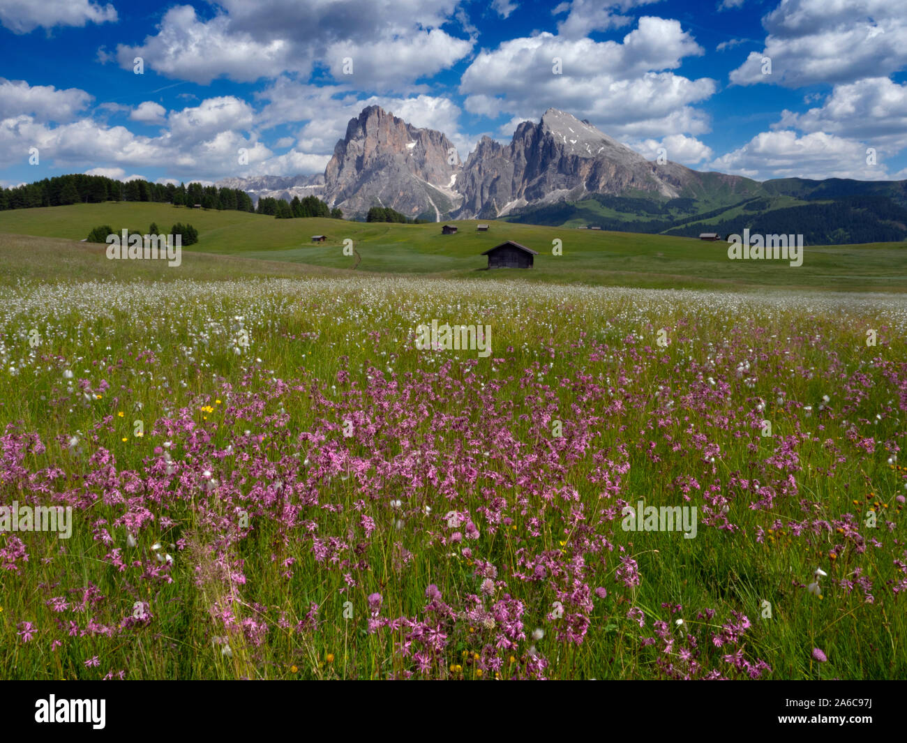 Près de village de Seiser Alm Compatsch, Dolomites, plateau, plus grande prairie alpine en Europe Banque D'Images