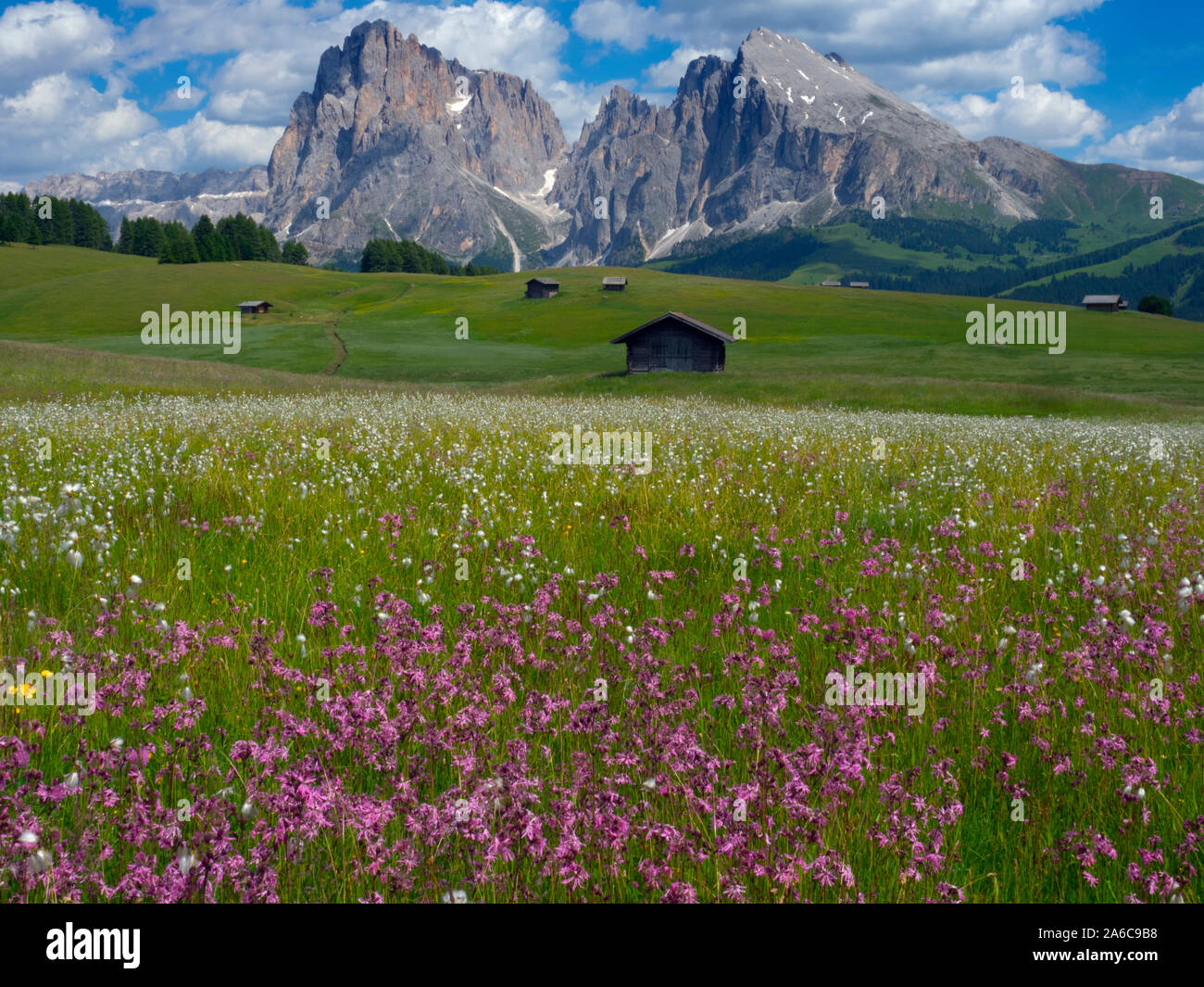 Près de village de Seiser Alm Compatsch, Dolomites, plateau, plus grande prairie alpine en Europe Banque D'Images