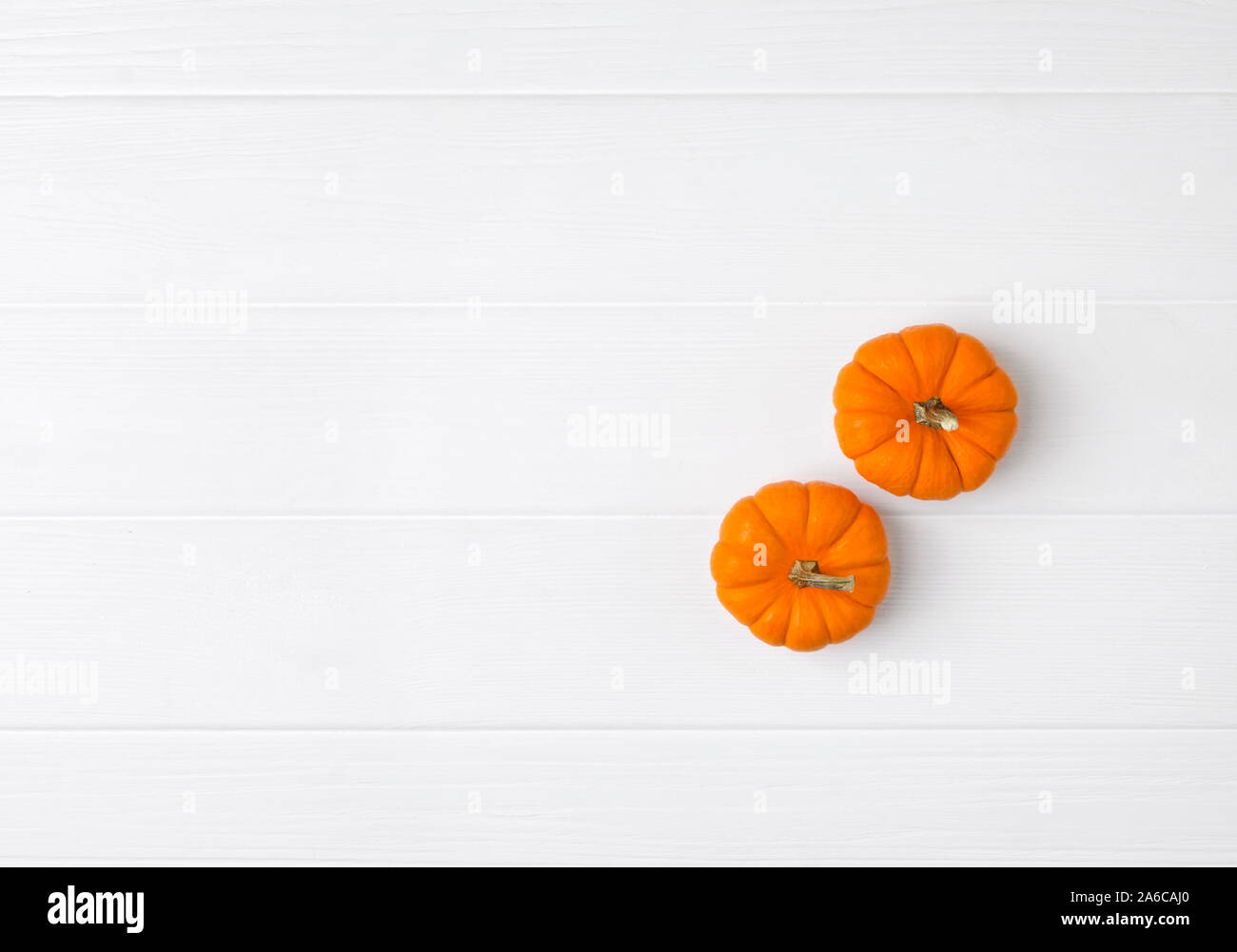 Composition d'automne. Pumpkins sur fond de bois blanc Banque D'Images