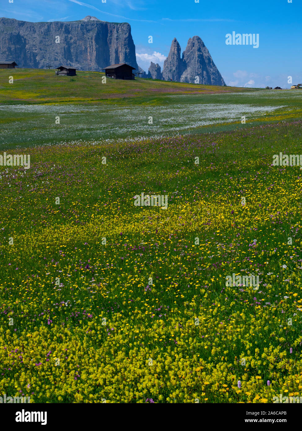 Près de village de Seiser Alm Compatsch, Dolomites, plateau, plus grande prairie alpine en Europe Banque D'Images