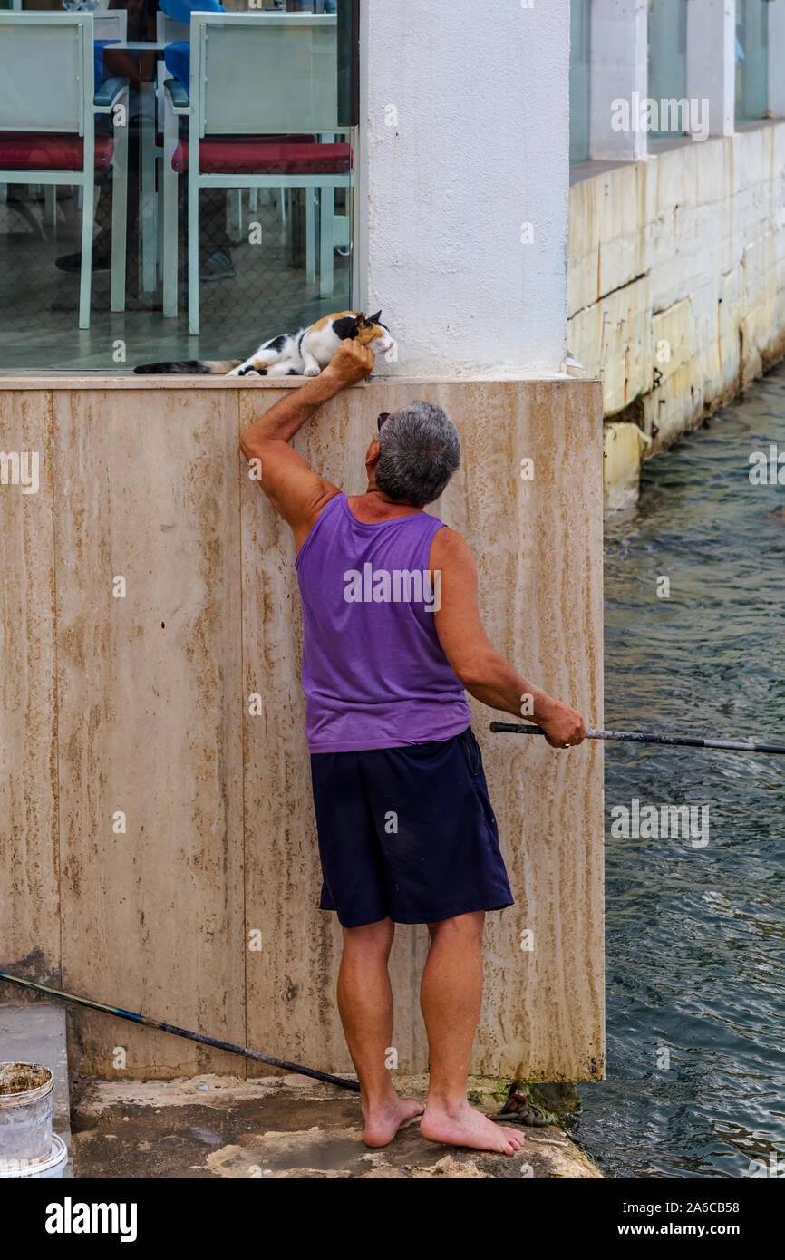 Pêcheur maltais tapotant chat calico errants tout en regardant le poisson avec la tige dans l'autre main. L'homme s'occuper des chats de la rue. Banque D'Images