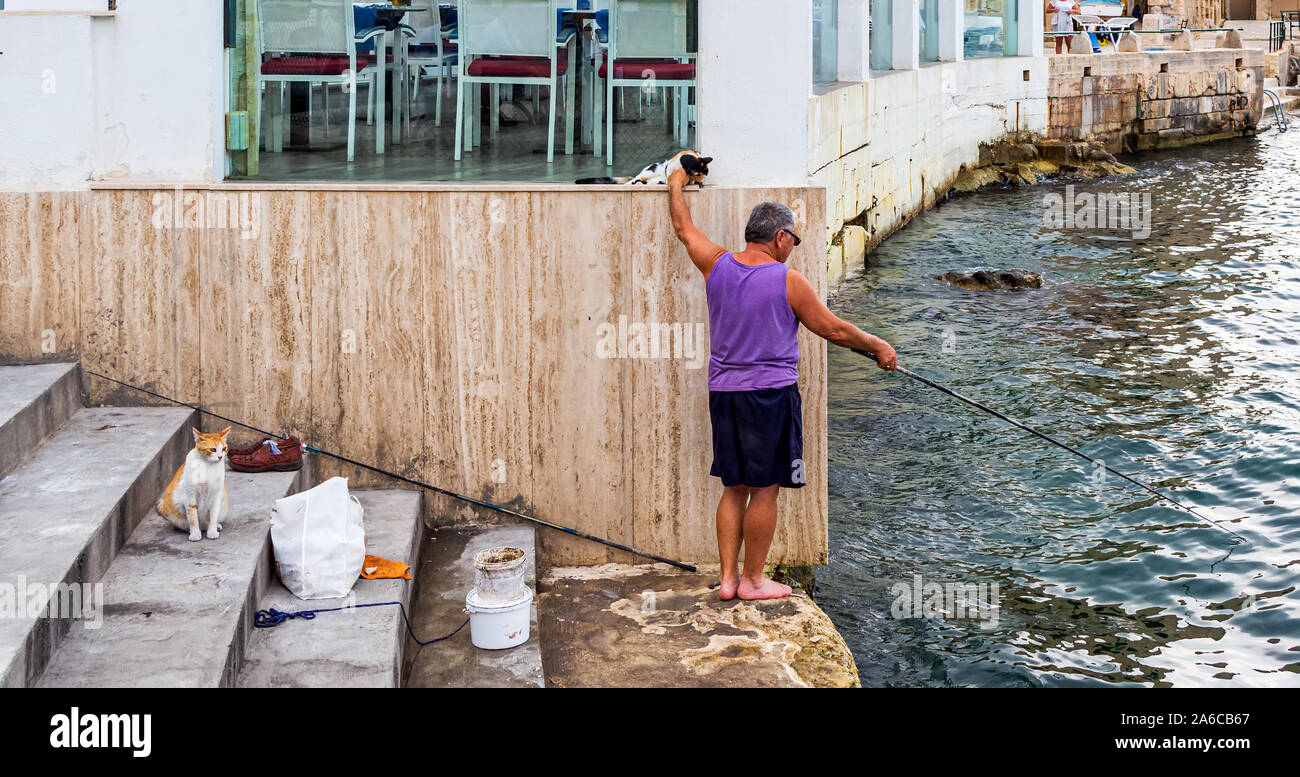 Pêcheur maltais tapotant chat calico errants tout en regardant le poisson avec la tige dans l'autre main. Chat rouge est assis sur les mesures en attente de poisson frais Banque D'Images