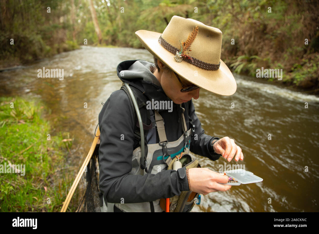 Guide de la pêche à la mouche femelle la pêche sur la rivière Steavenson, Victoria, Australie Banque D'Images