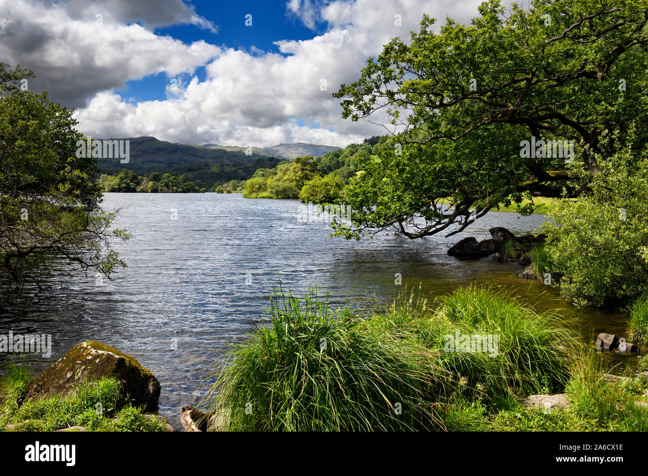 Rive du lac Rydal Water sur River Rothay à Rydal Ambleside Cumbria England dans Lake District National Park Banque D'Images