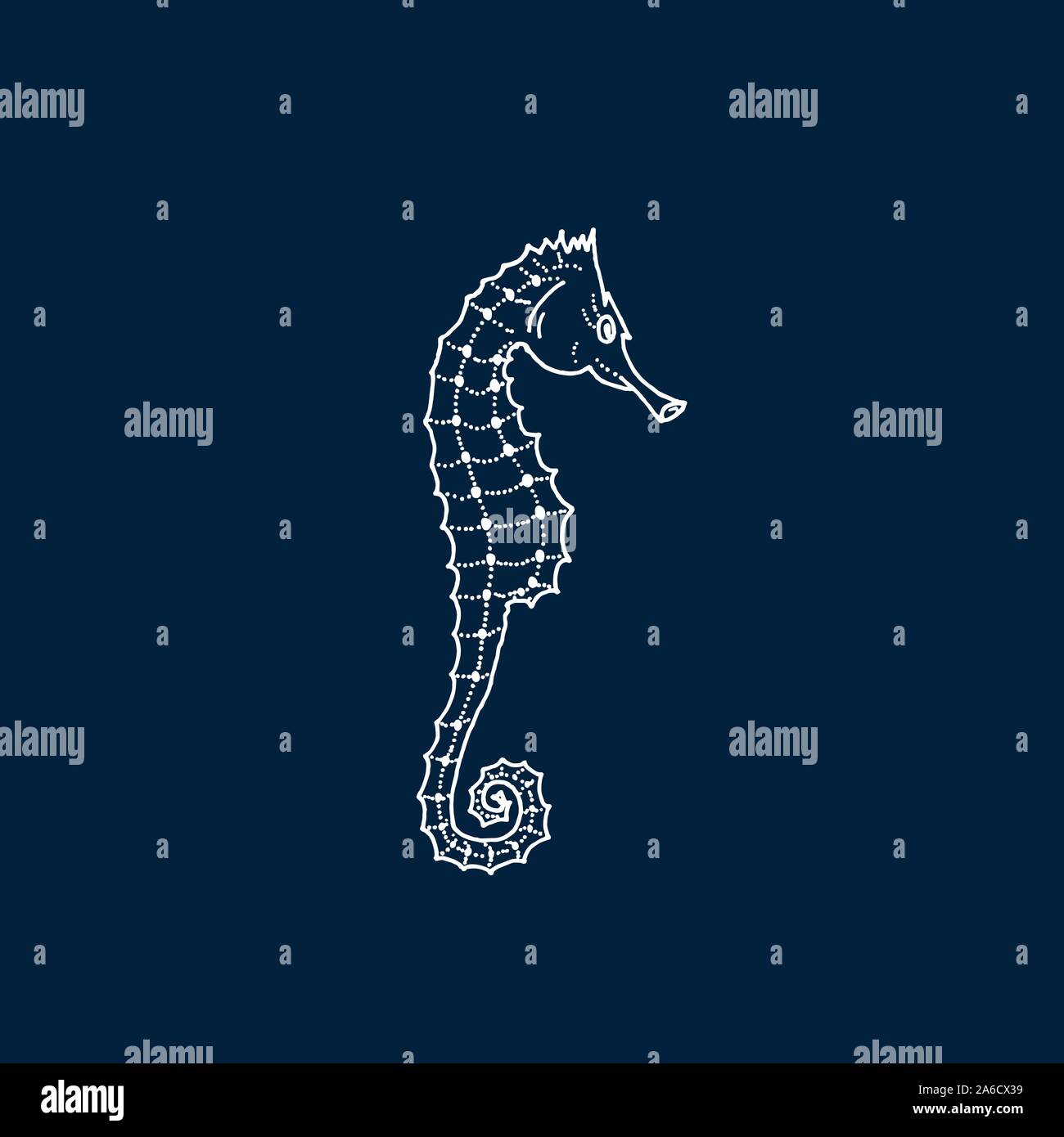 Vector illustration of white seahorse silhouette sur fond bleu foncé. Dessin à la main seahorse Illustration de Vecteur
