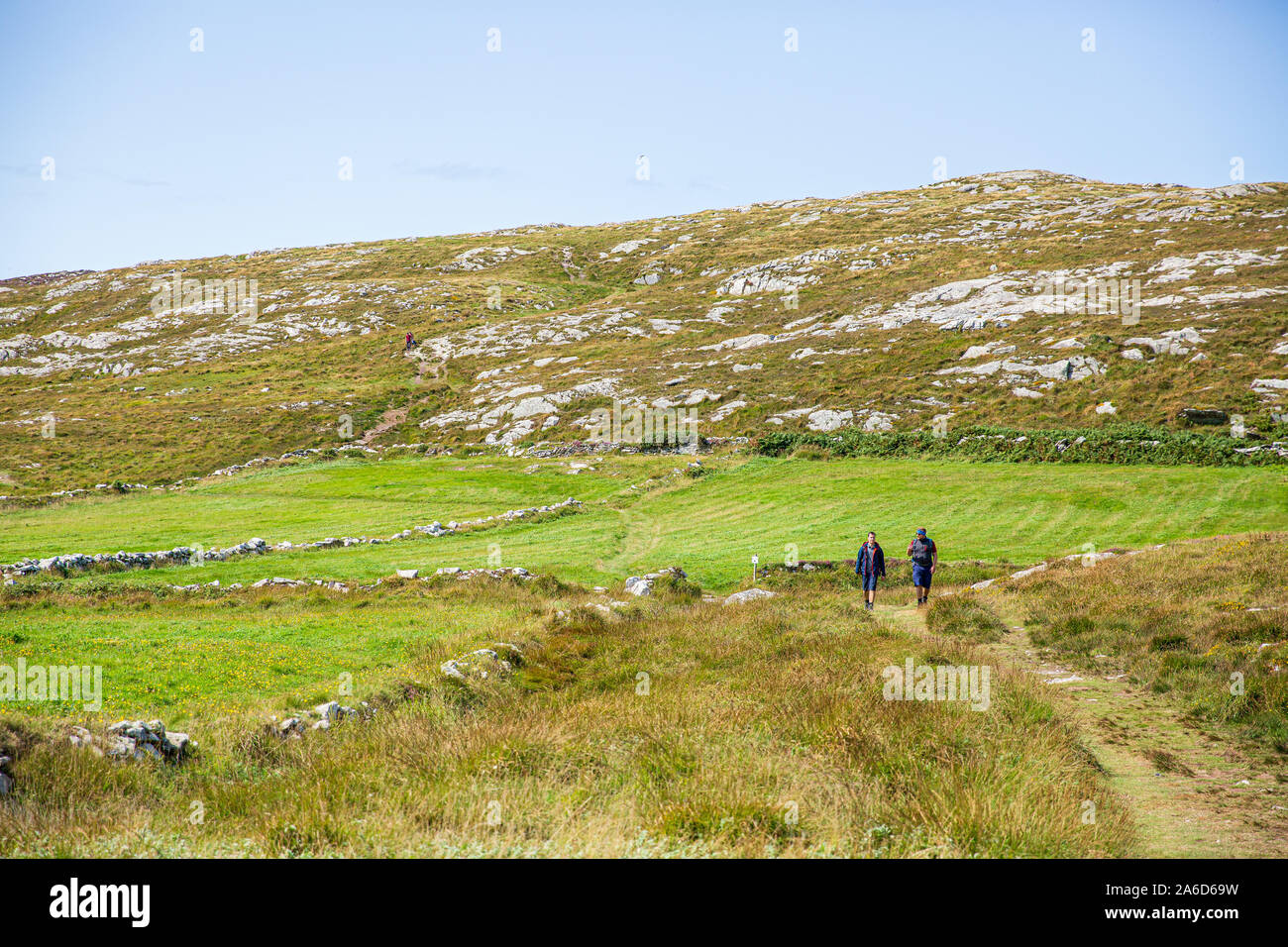 Deux hommes trekking sur le sentier pédestre jusqu'à La Tête Du château De Dunlough, en Irlande de l'Ouest. Ciel bleu clair. Banque D'Images
