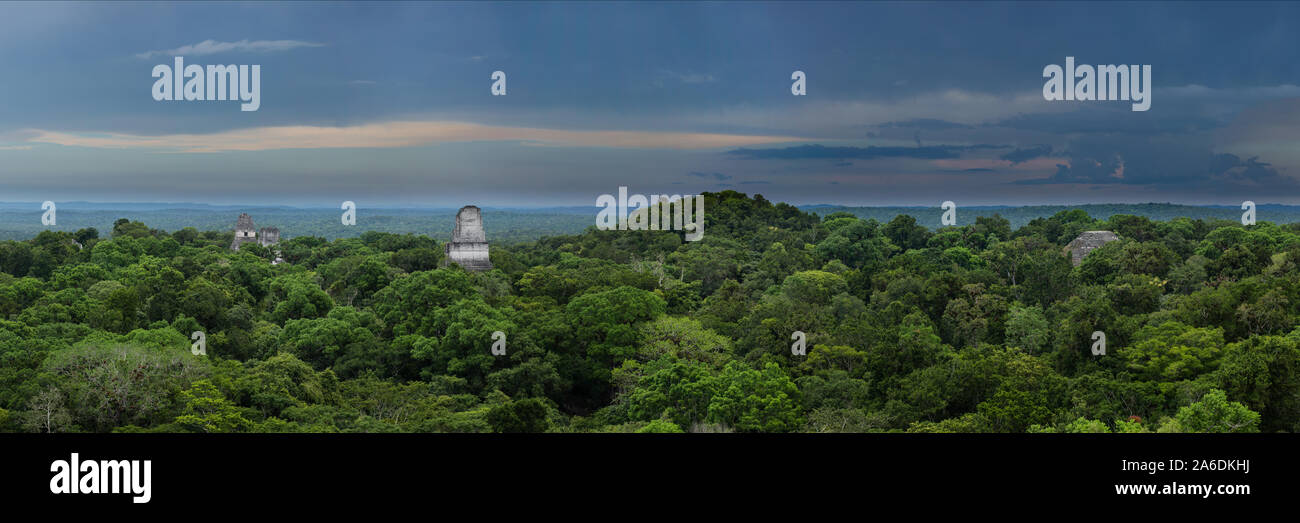 Vue panoramique de temples I , II , III et le Monde Perdu de Temple Pyramide IV dans le site archéologique maya de parc national de Tikal, Guatemala. Banque D'Images