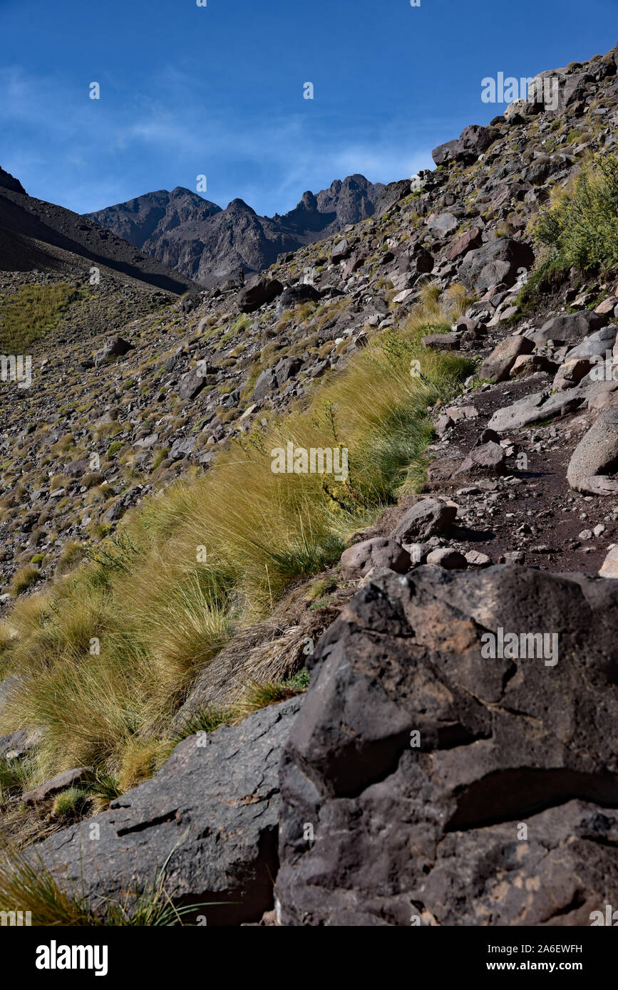 Sur le chemin muletier de Imlil à Refuge du Mouflon, la dernière étape avant le sommet du mont Toubkal, Haut Atlas, Maroc, Afrique. Banque D'Images