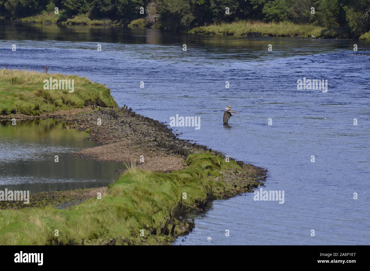 La pêche à la mouche dans la rivière Oykel au Kyle of Sutherland Bonar Bridge Sutherland Ecosse UK Banque D'Images