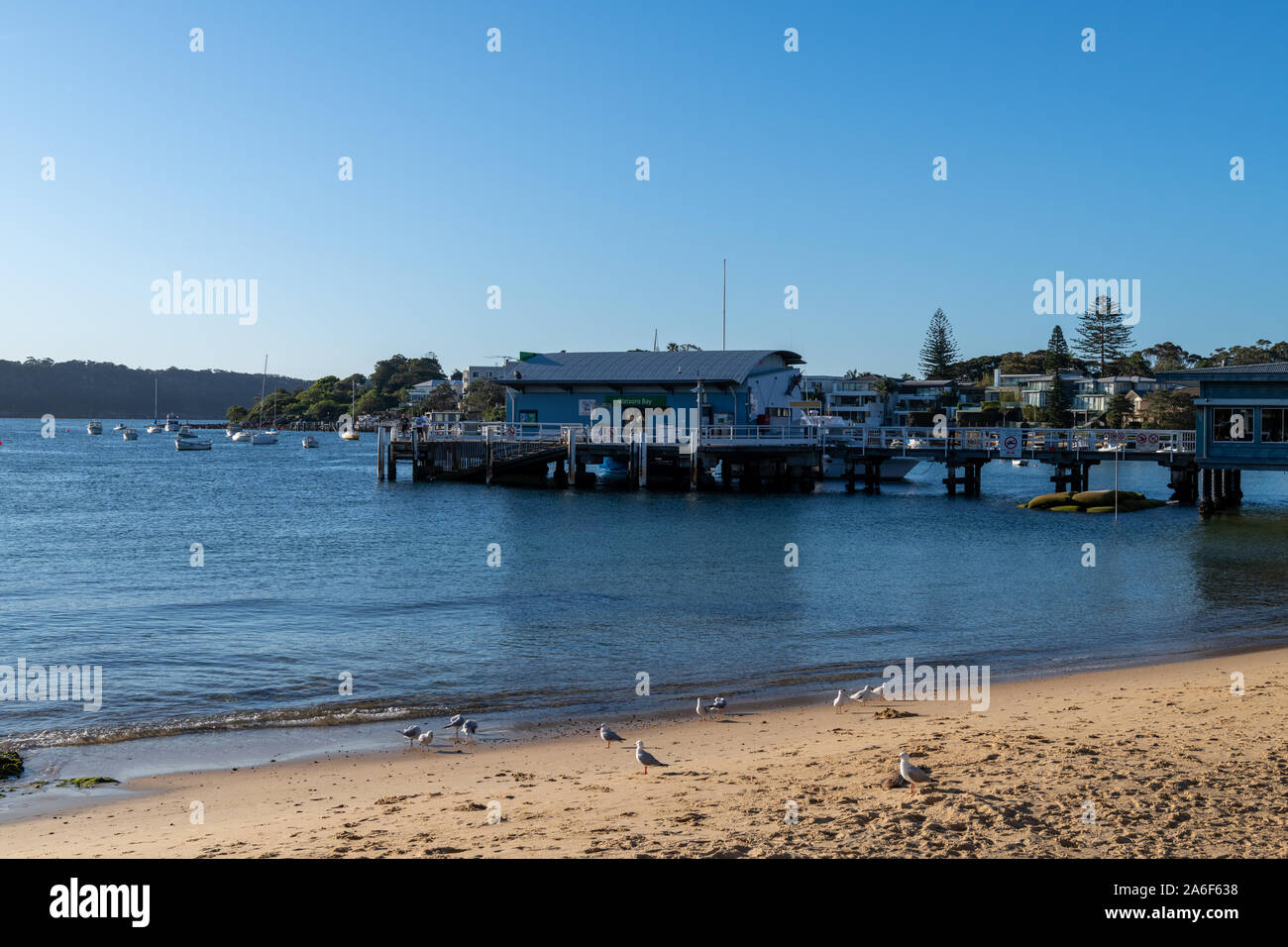 Sydney, NSW, Australia-Oct 20, 2019 : vue sur la plage à Watsons Bay, la plus ancienne du village de pêcheurs de l'Australie et la prospérité d'entrée locale populaire avec sp Banque D'Images