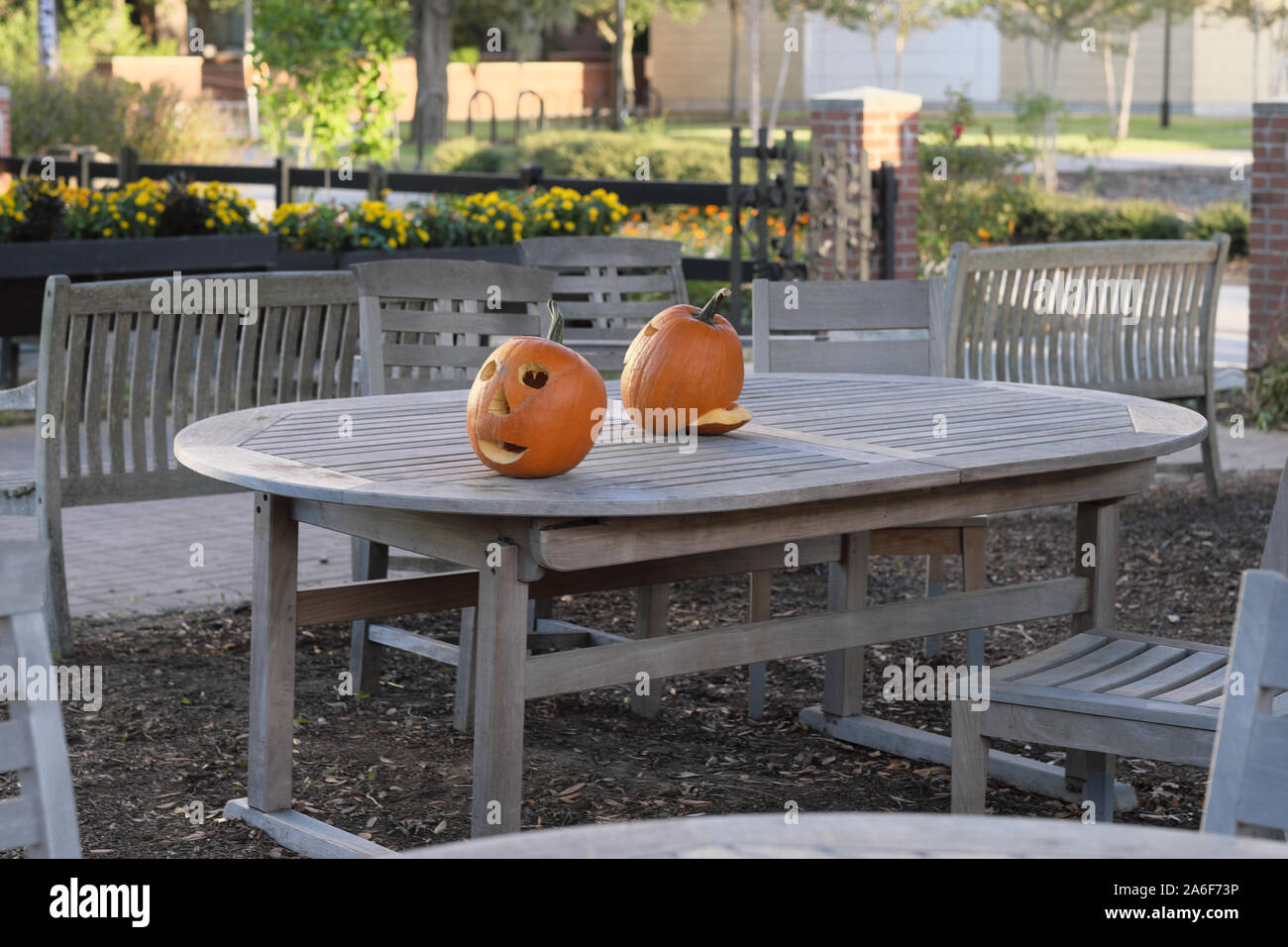 Les citrouilles sculptées, souriant, sur une table à l'extérieur face à face et voir le profil Banque D'Images
