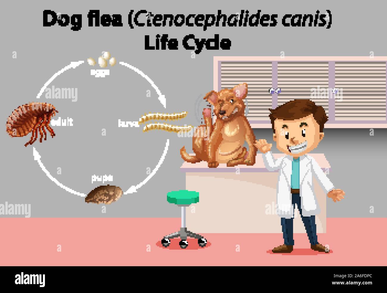 Vétérinaire ayant l'animal malade illustration Illustration de Vecteur