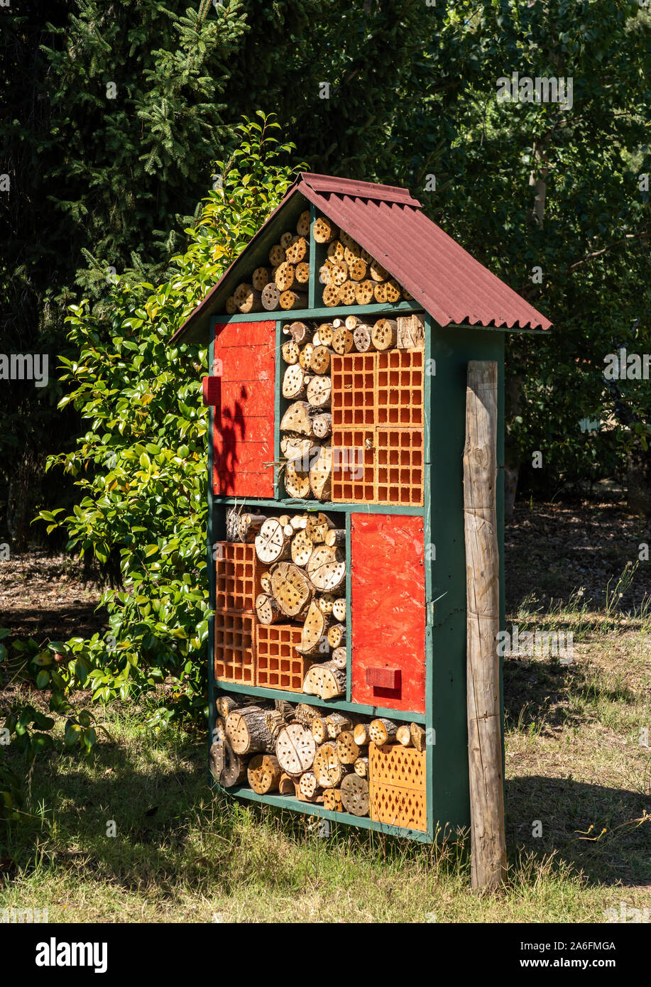 Pour la construction de l'hôtel des oiseaux et des insectes ou à la maison dans un jardin avec arbres percés troncs et branches Banque D'Images