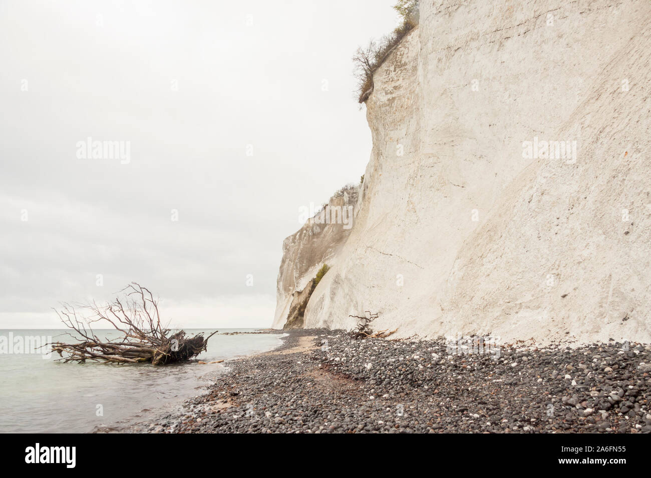 Paysage sur mon, Danemark - White Cliffs. Banque D'Images