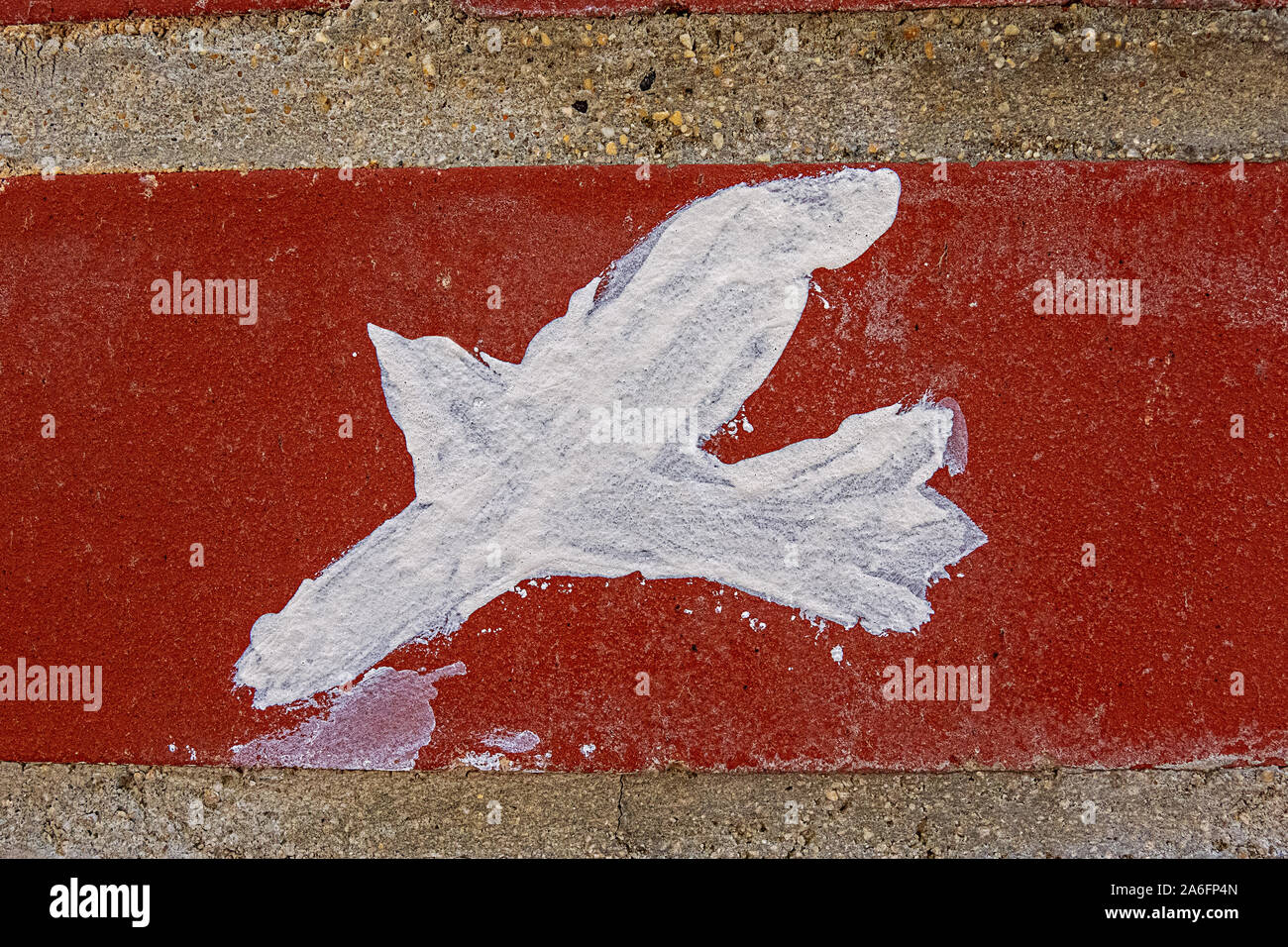 Les éclaboussures de peinture à l'image d'un oiseau sur un mur de la maison avec une bande rouge gris Banque D'Images
