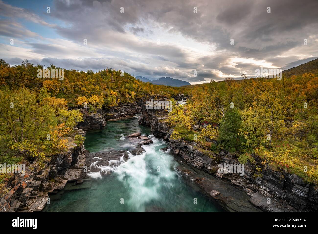 Abisko canyon d'automne, Abiskojokk Abiskojokk, rivière, Abisko National Park, Norrbotten, Lapland, Sweden Banque D'Images