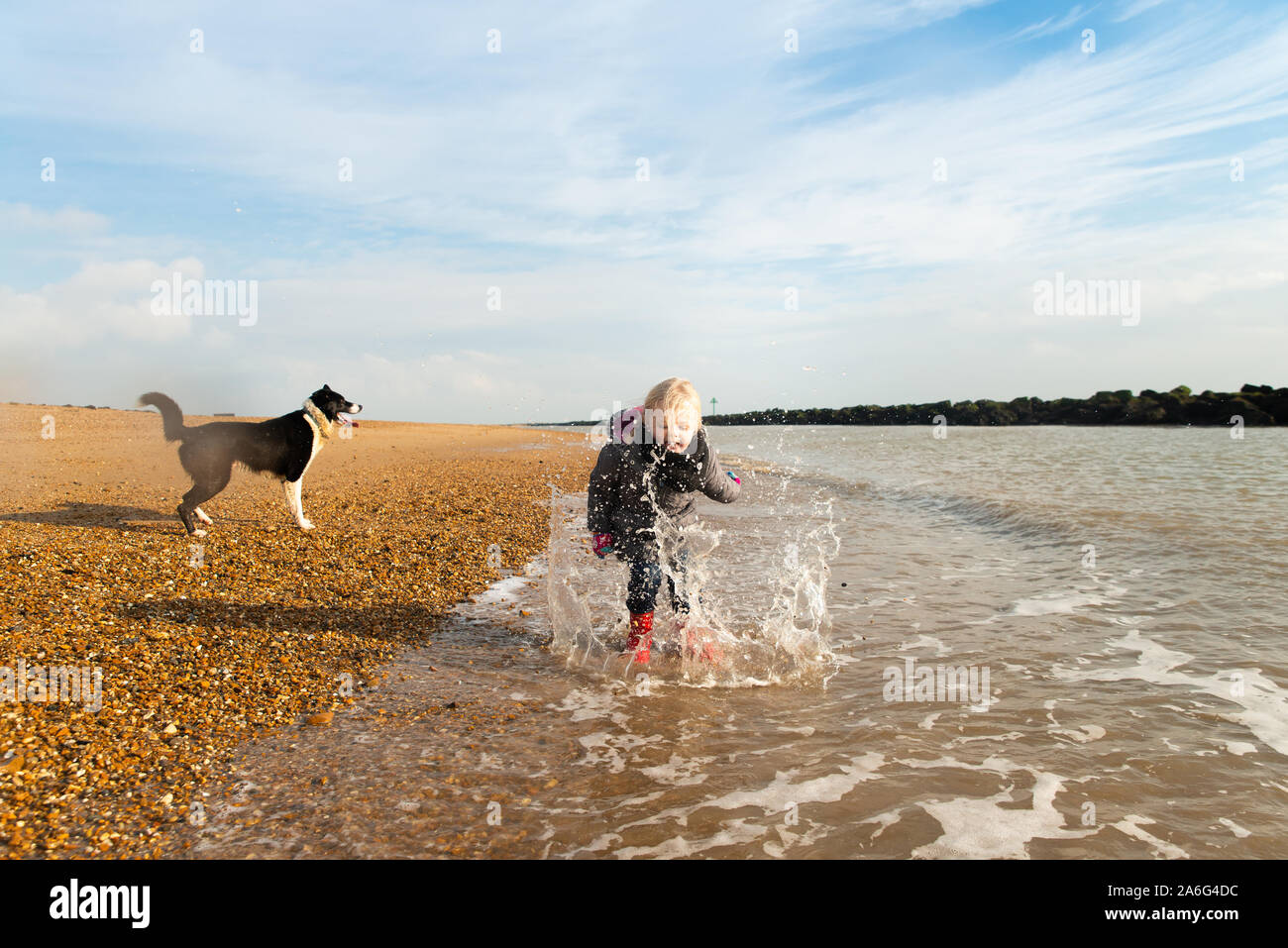 Une jolie jeune fille portant des bottes wellie pagayage, de sauter et de s'éclabousser dans la mer avec son animal de compagnie chien border collie à Jaywick, Clacton On Sea, Banque D'Images
