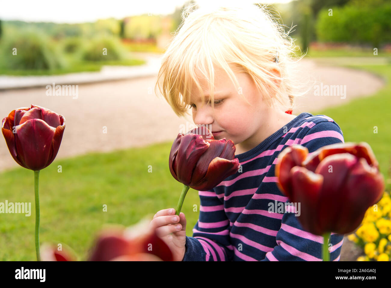 Une jolie petite fille aux cheveux blonds et aux yeux verts brillants de diverses fleurs odorantes à Trentham Gardens sur une journée en famille dans le pays Banque D'Images