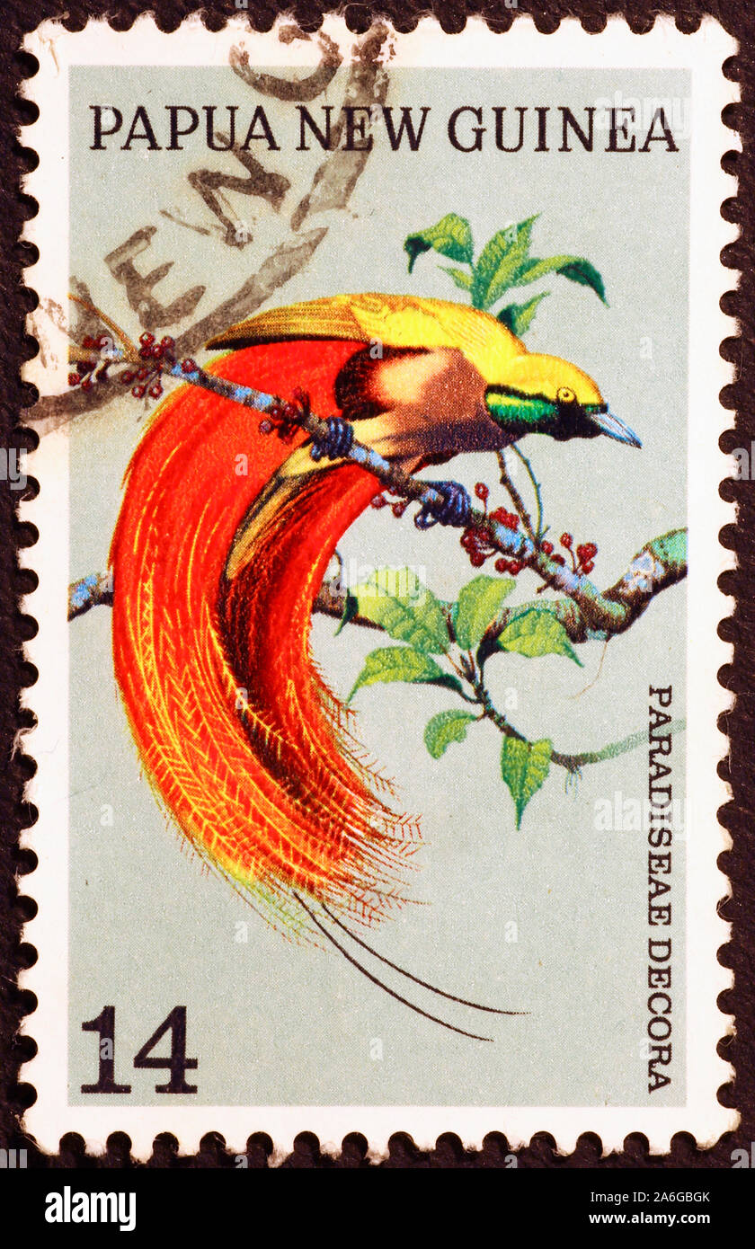 Bel oiseau de paradis sur le timbreposte de la PapouasieNouvelleGuinée Photo Stock Alamy Bel oiseau de paradis sur le timbreposte de la PapouasieNouvelleGuinée Photo Stock Alamy