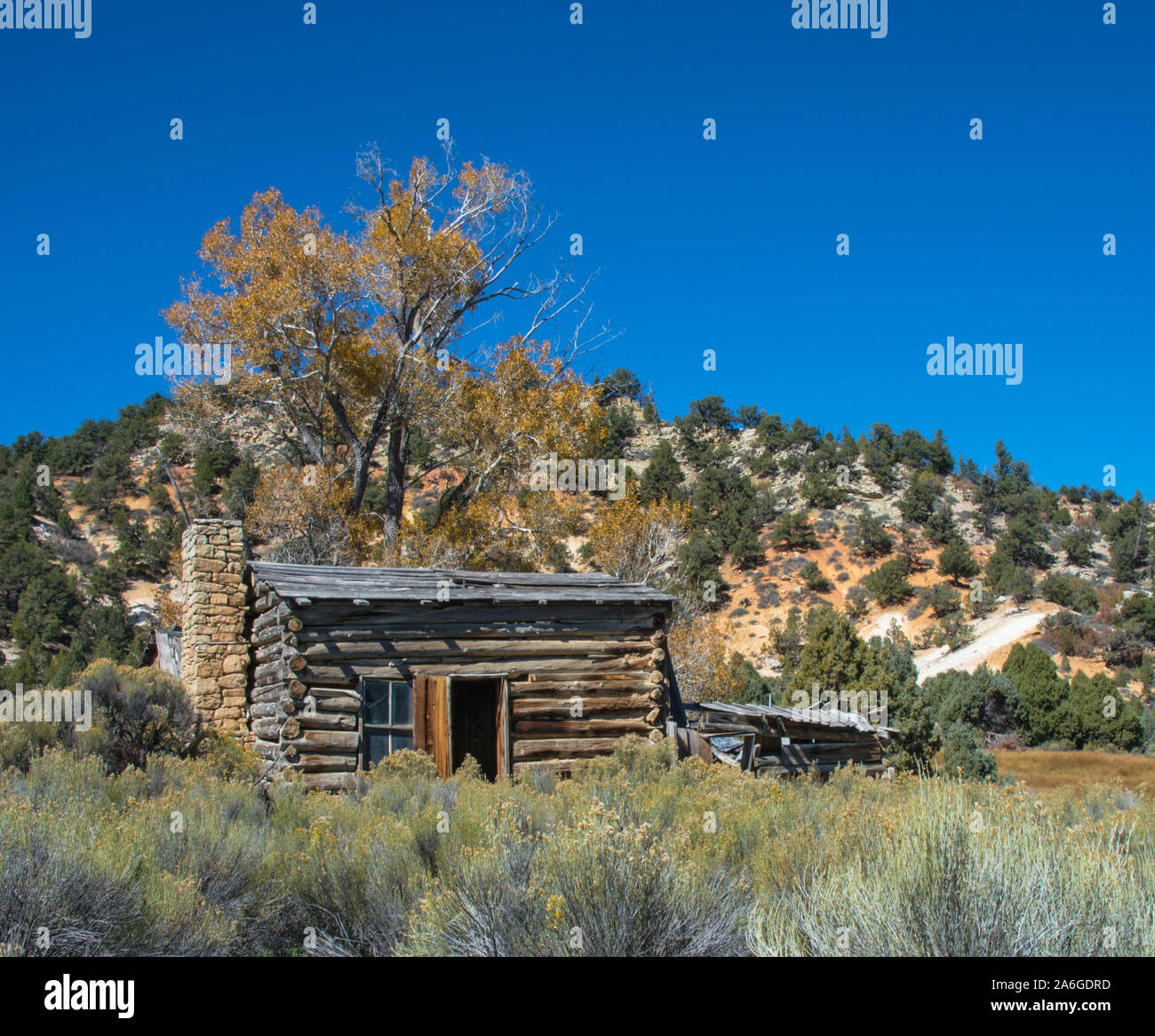 Vieille cabane en rondins ou maison au milieu de nulle part Colorado. Si solitaire et isolé, mais très pittoresque. Je suis sûr que cette vieille cabane pourrait raconter des histoires. Banque D'Images