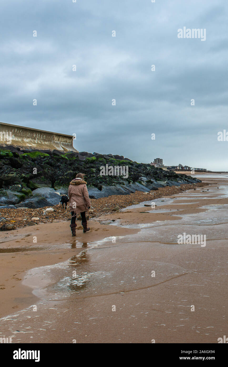 Une marche des femmes son chien de travail, Cross Border Collie Labrador portant un collier rouge en travers de la plage à Walton sur l'Essex,  ? Banque D'Images