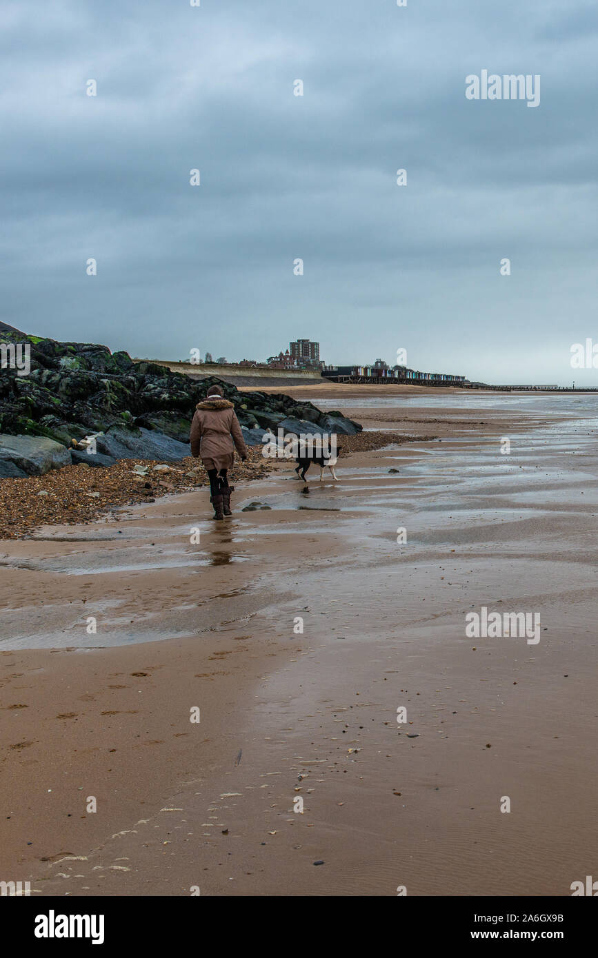 Une marche des femmes son chien de travail, Cross Border Collie Labrador portant un collier rouge en travers de la plage à Walton sur l'Essex,  ? Banque D'Images